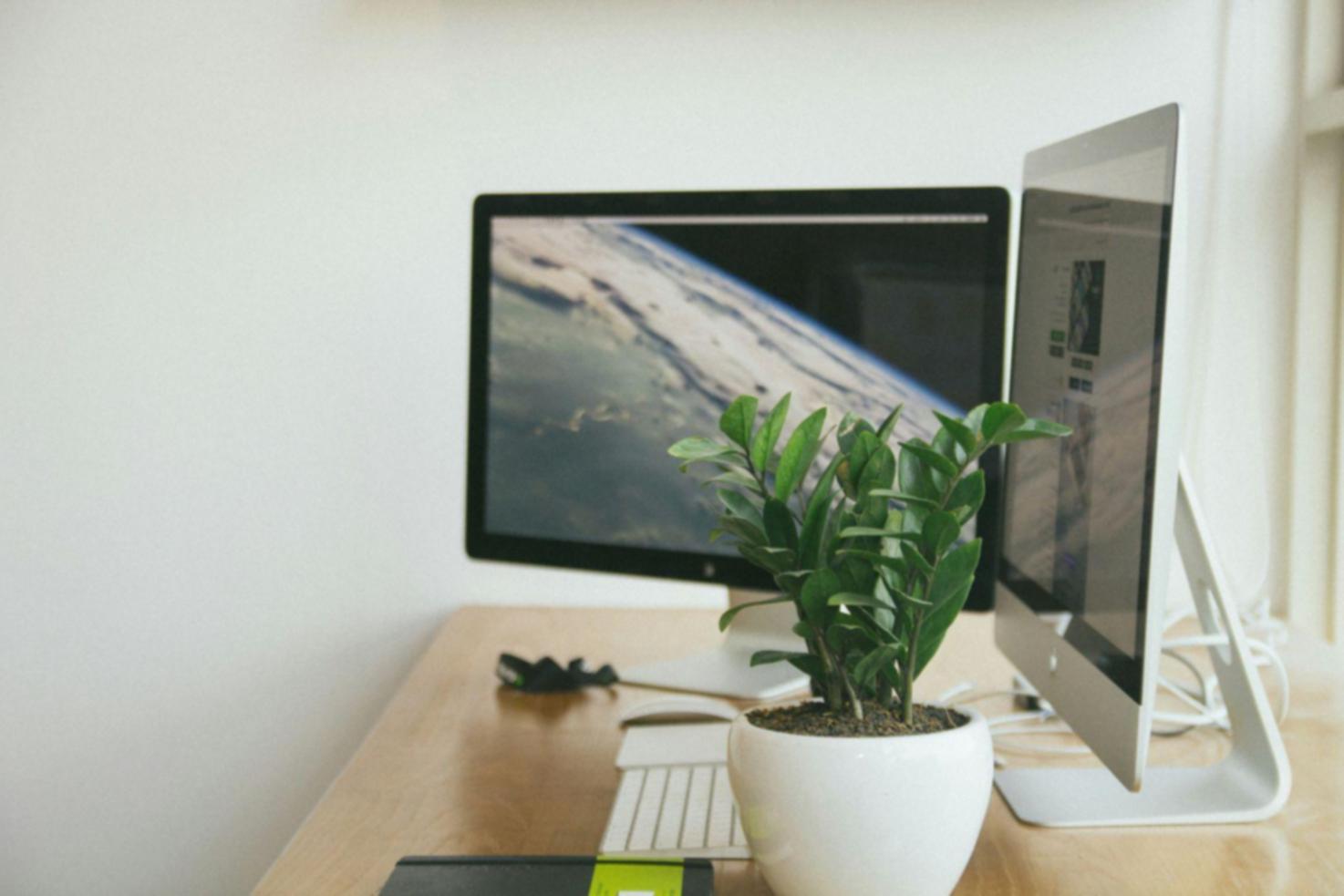 Процесс обучения финансовым коммуникациям в Calintos Porandro